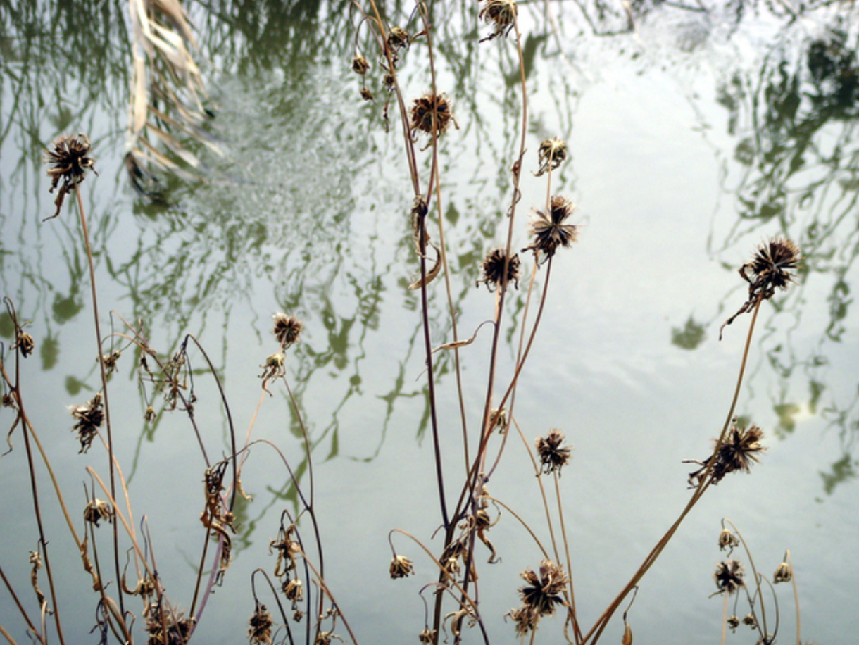 스크린샷 2019-06-11 오후 3.00.51.png