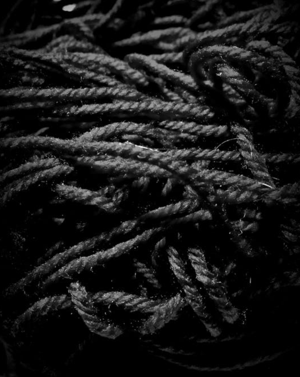 스크린샷 2020-01-02 오후 10.36.00.png