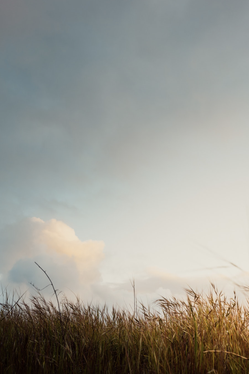 스크린샷 2019-04-30 오후 5.09.46.png