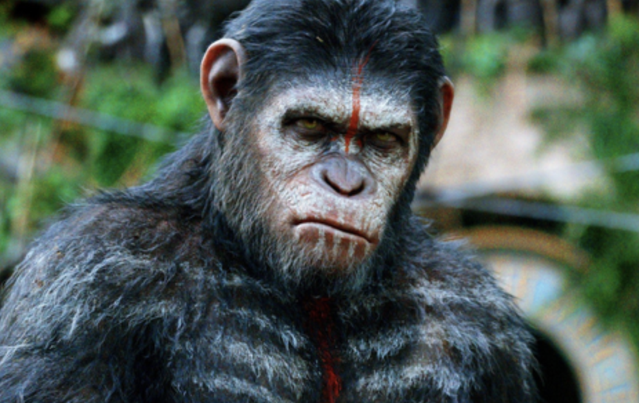 스크린샷 2018-06-12 오후 6.28.14.png