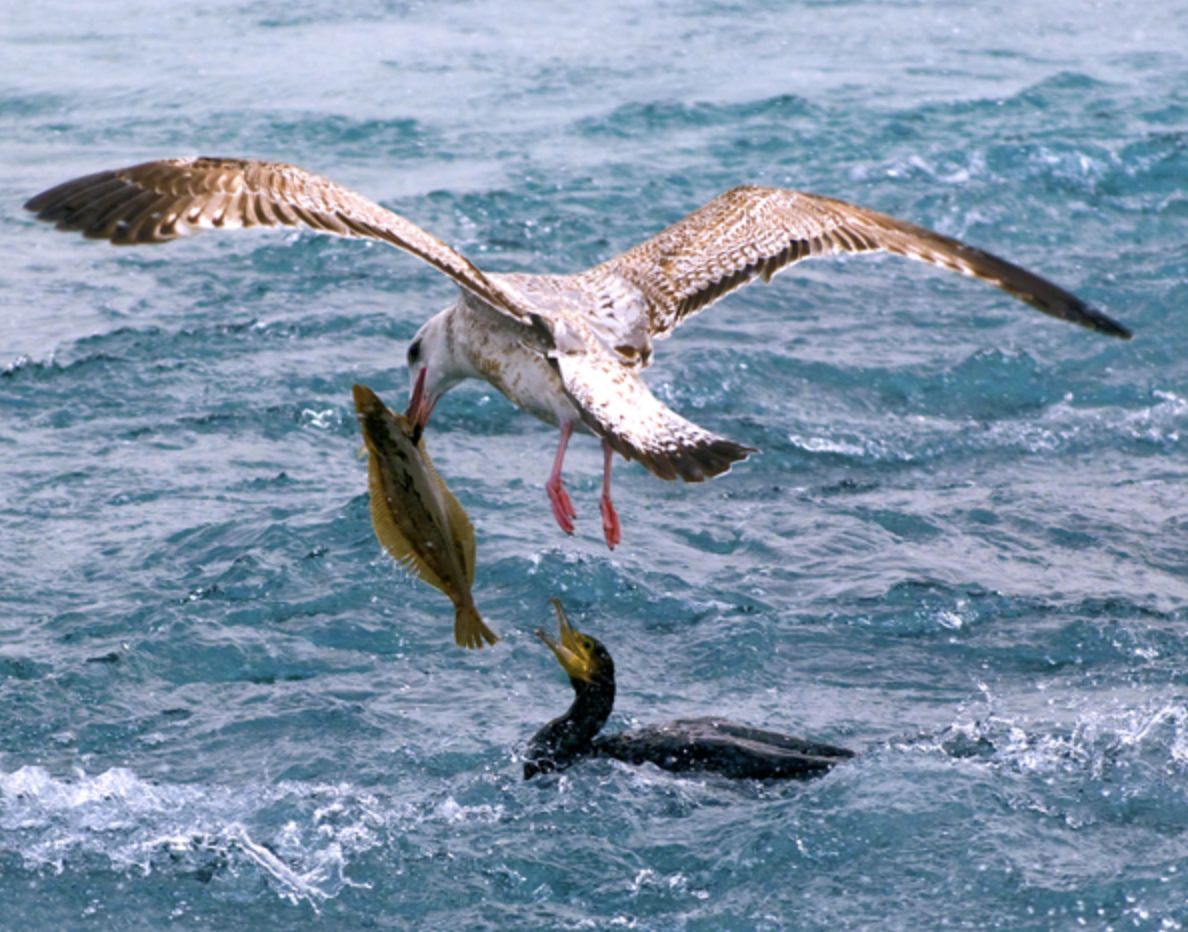 스크린샷 2018-03-12 오후 7.01.30.png