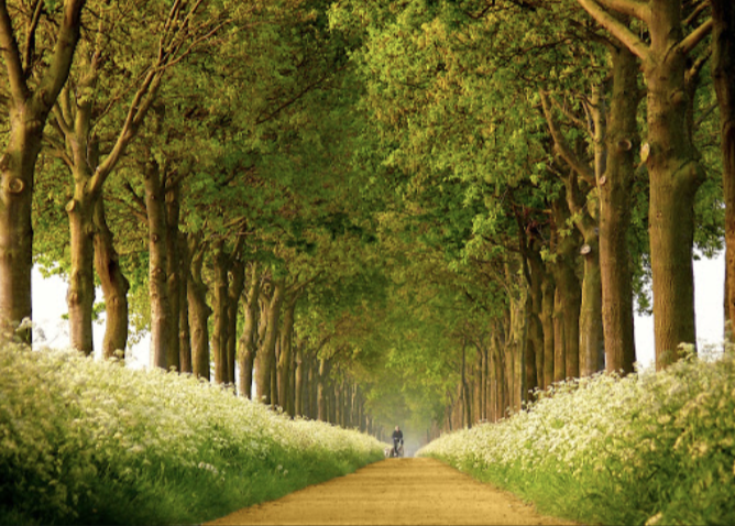 스크린샷 2020-02-27 오후 5.57.55.png