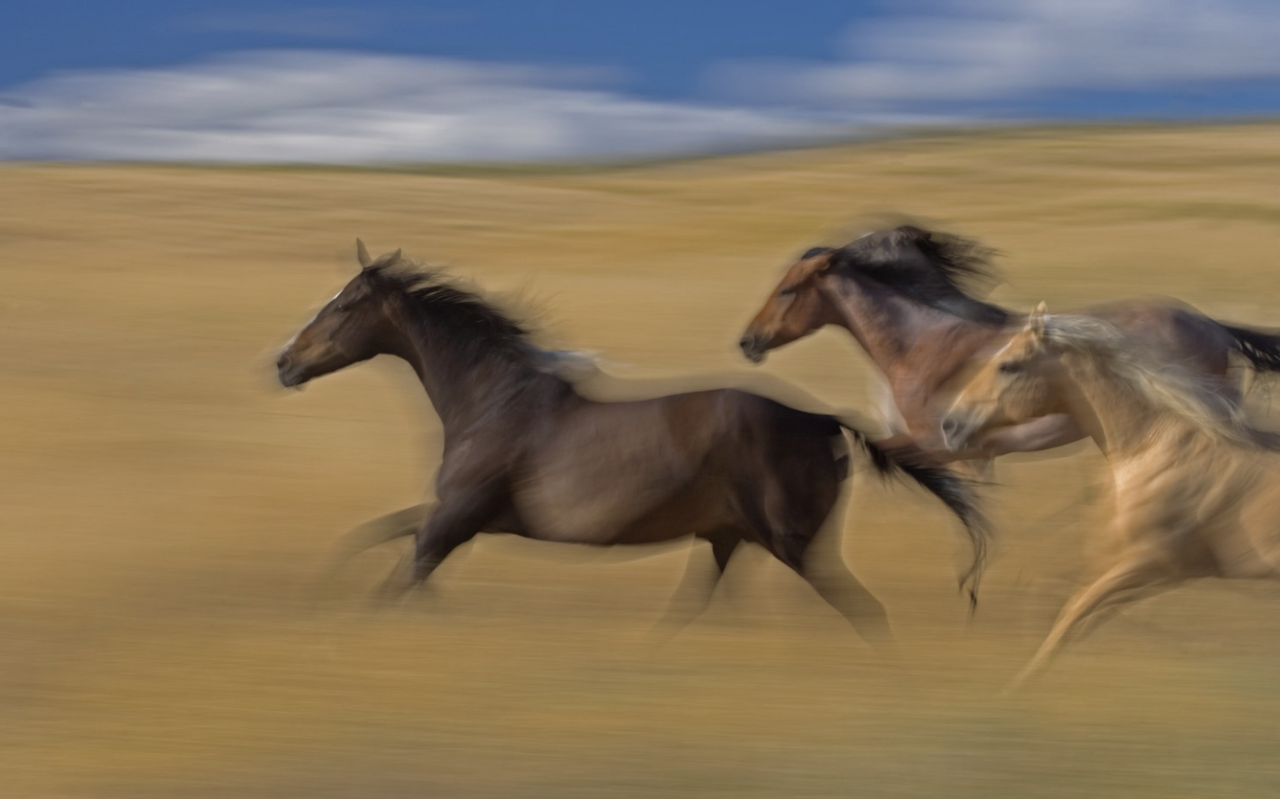 스크린샷 2018-02-11 오후 5.00.14.png