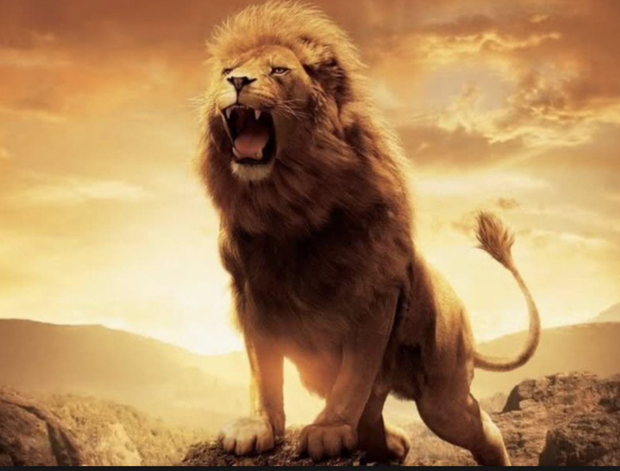 스크린샷 2019-07-09 오후 12.01.24.png