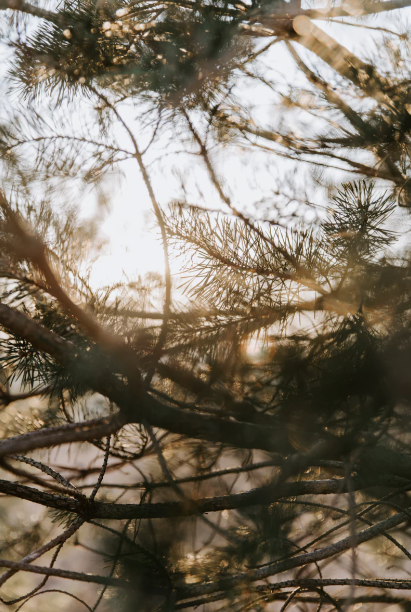 스크린샷 2019-04-24 오후 12.43.49.png