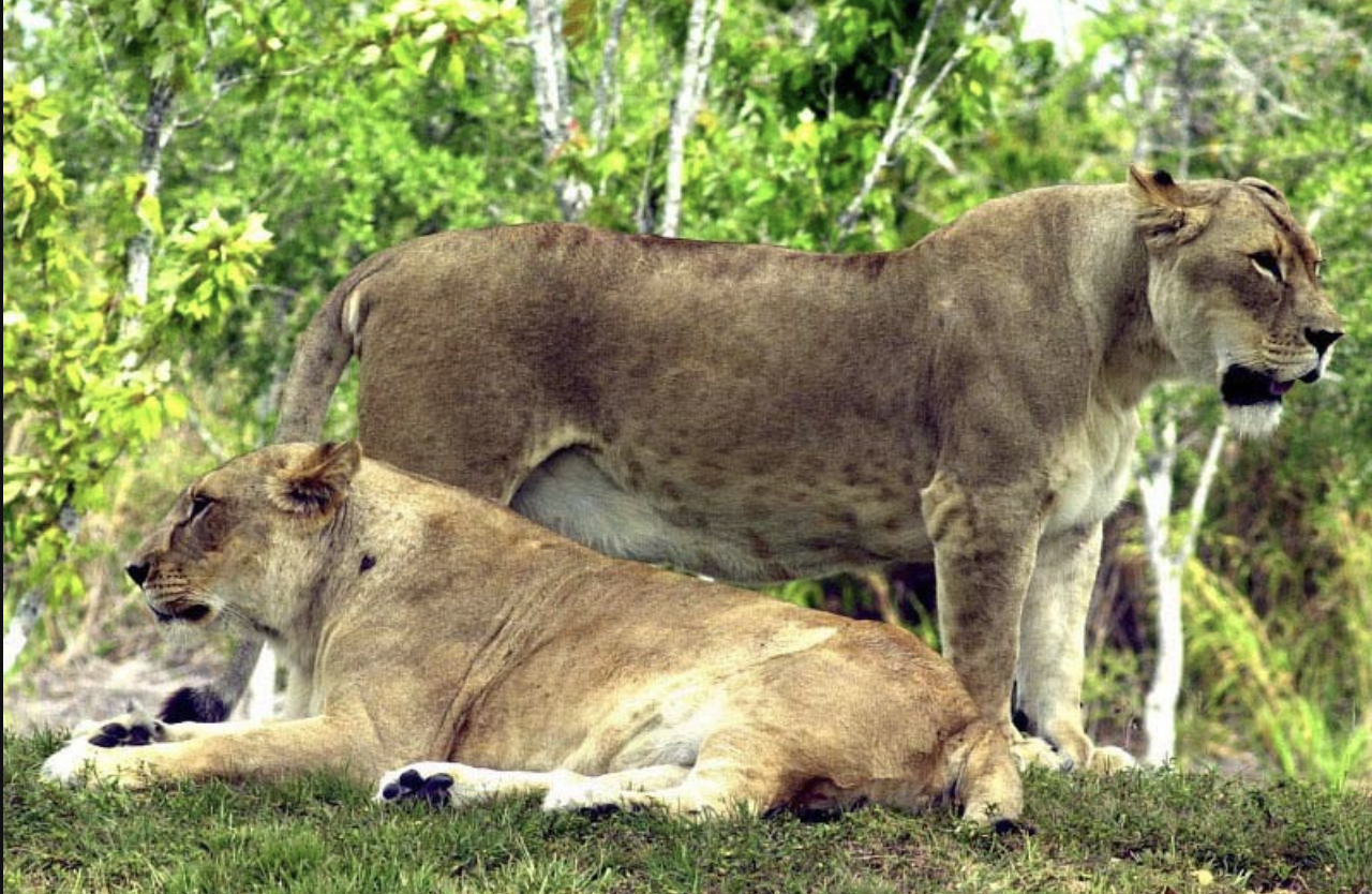 스크린샷 2018-03-12 오후 7.02.45.png