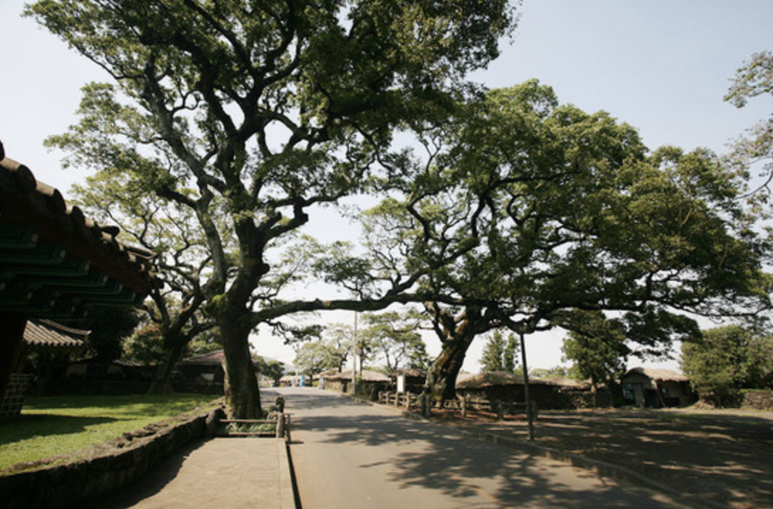 스크린샷 2019-12-19 오전 10.42.35.png