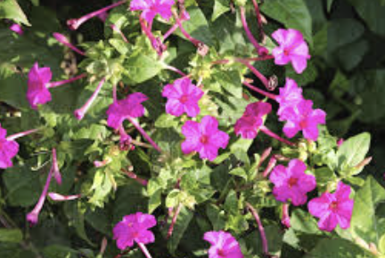 스크린샷 2025-03-20 오전 11.29.53.png