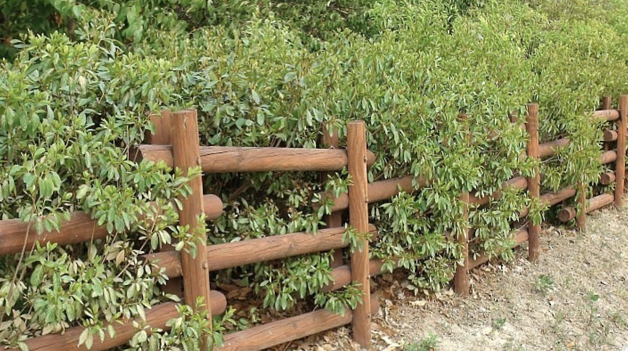 스크린샷 2020-10-29 오후 3.58.24.png