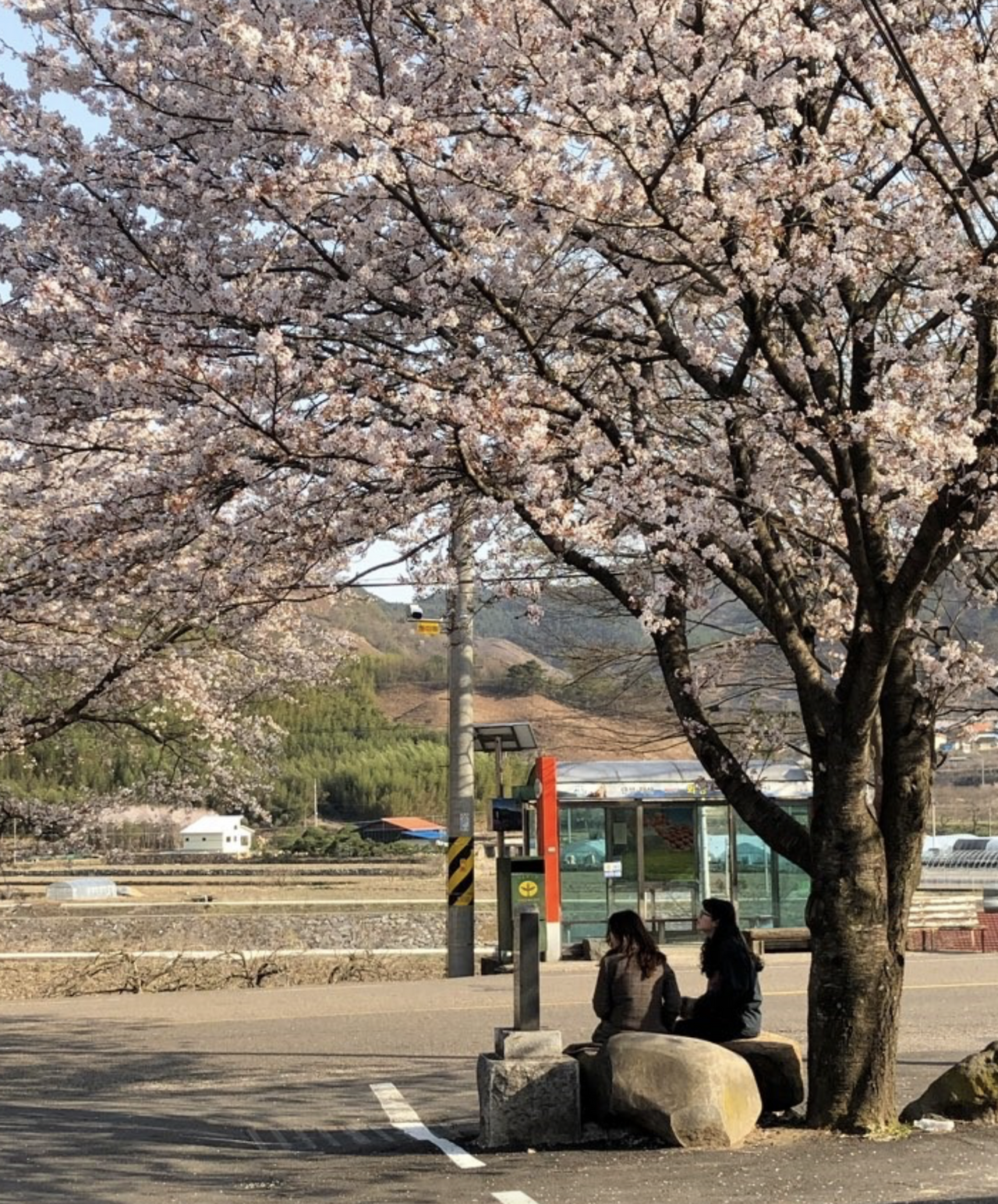 스크린샷 2019-12-29 오후 2.51.34.png