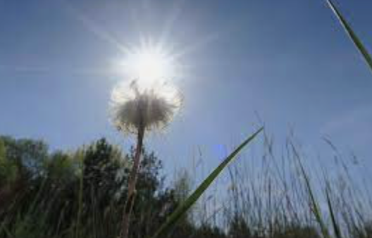 스크린샷 2022-10-23 오후 4.40.09.png