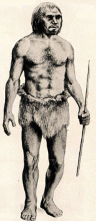 스크린샷 2018-07-11 오후 11.02.06.png