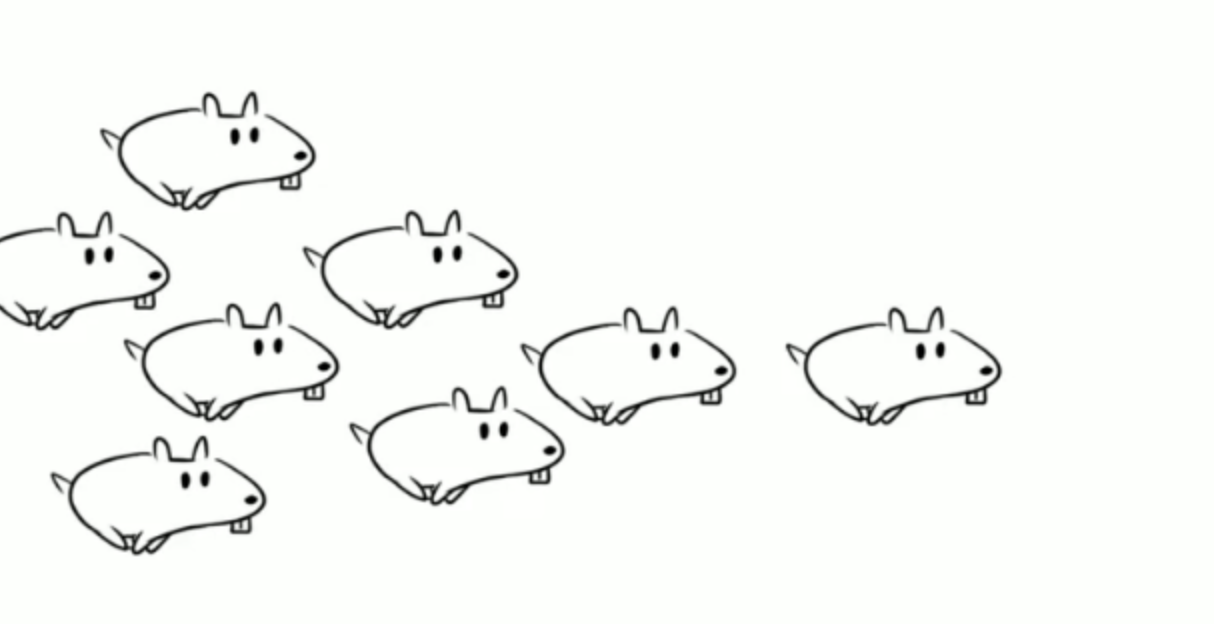 스크린샷 2018-04-30 오후 8.53.34.png