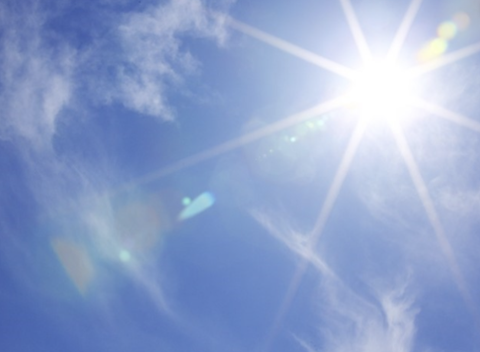 스크린샷 2020-01-19 오후 8.20.38.png