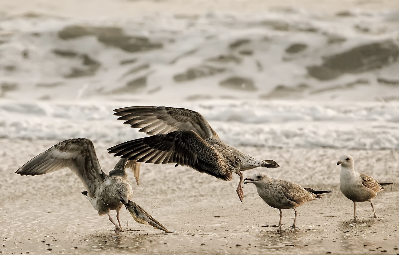 스크린샷 2018-04-18 오후 3.49.40.png