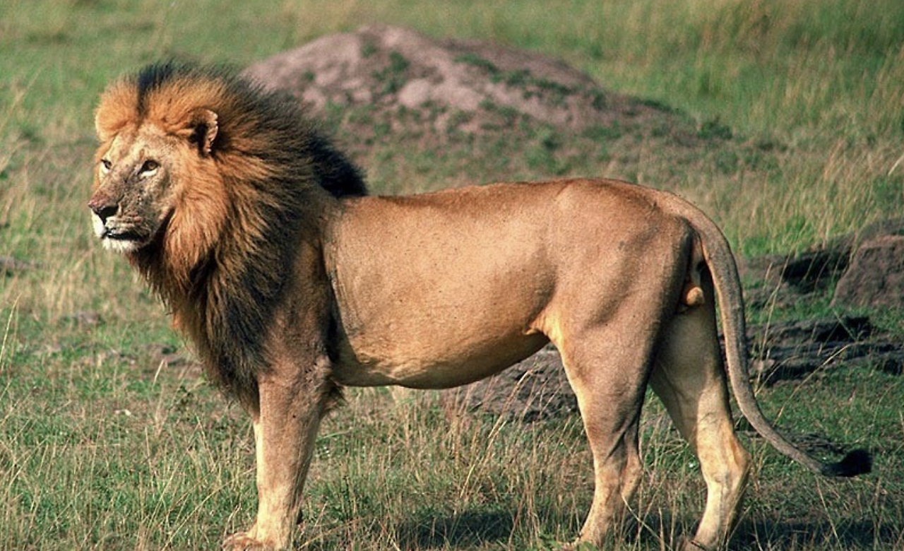 스크린샷 2018-05-21 오후 3.35.13.png