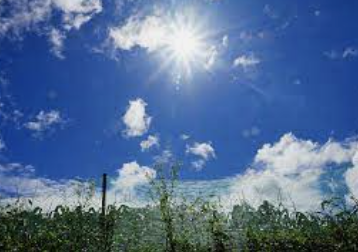 스크린샷 2022-10-28 오후 7.02.58.png