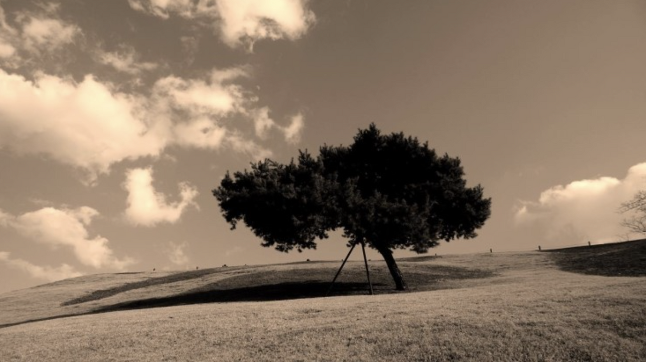 스크린샷 2018-04-26 오후 4.07.09.png