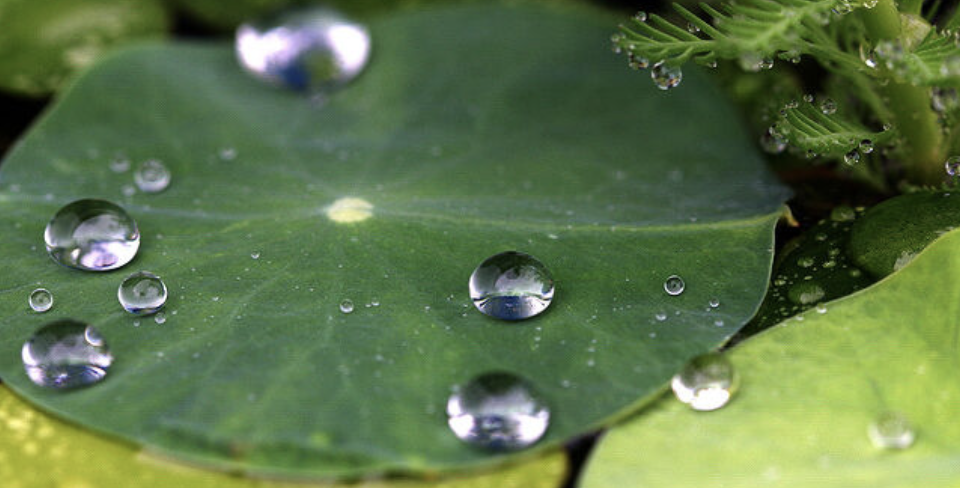 스크린샷 2021-01-02 오후 6.52.04.png