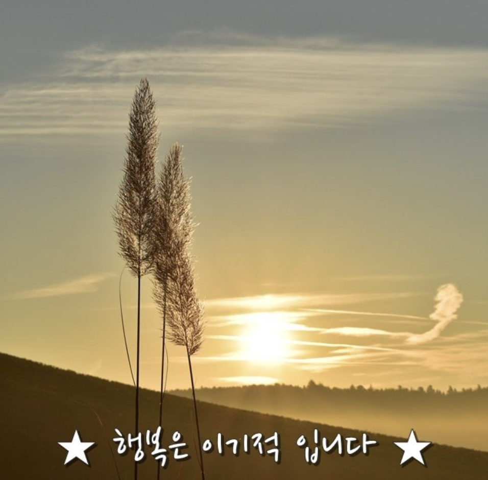 스크린샷 2018-04-18 오후 3.49.56.png