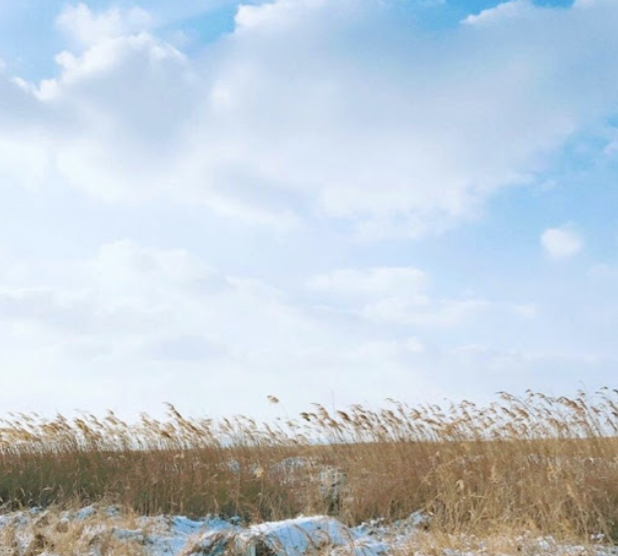 스크린샷 2020-04-25 오후 10.17.38.png