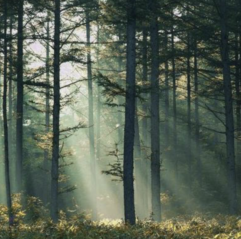 스크린샷 2019-02-12 오전 12.10.06.png