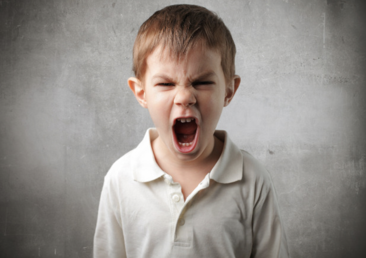 스크린샷 2019-06-24 오후 8.31.05.png