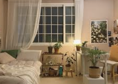 스크린샷 2025-03-19 오전 11.56.25.png