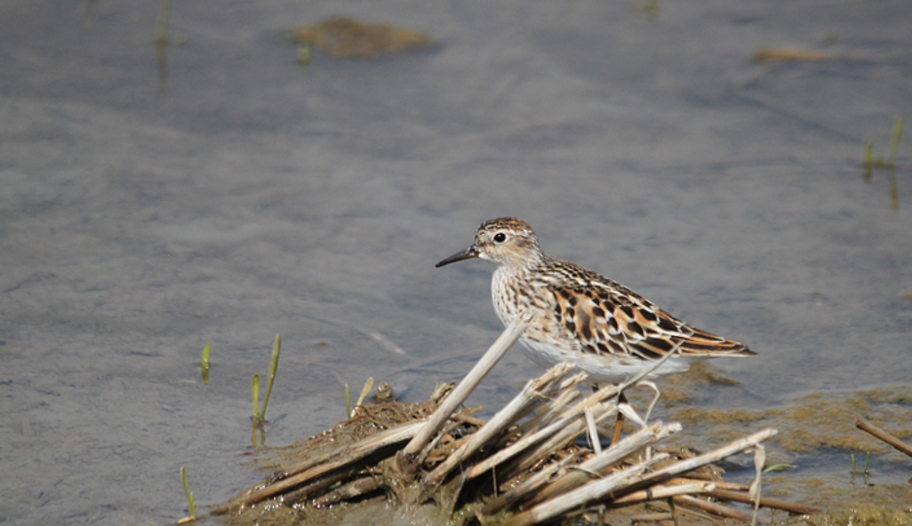 스크린샷 2018-05-17 오후 7.50.38.png