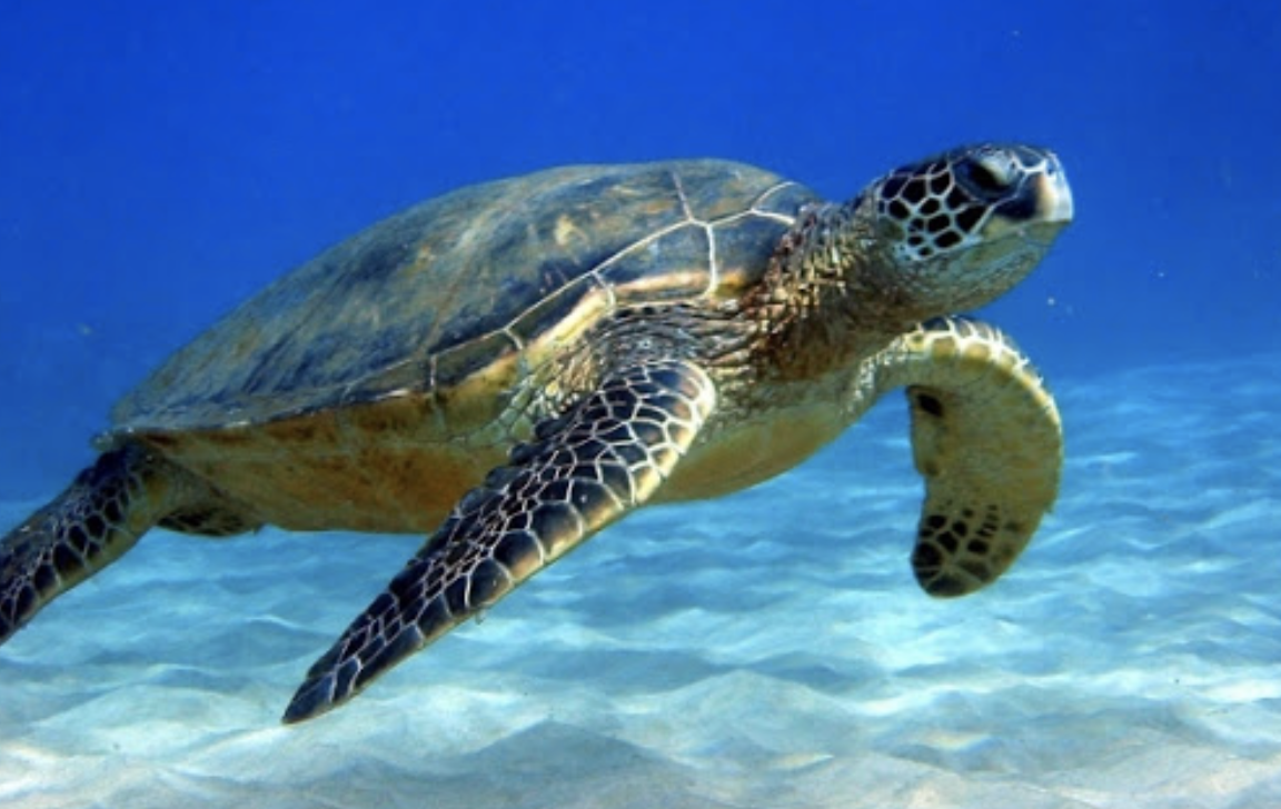 스크린샷 2020-08-19 오후 4.43.52.png