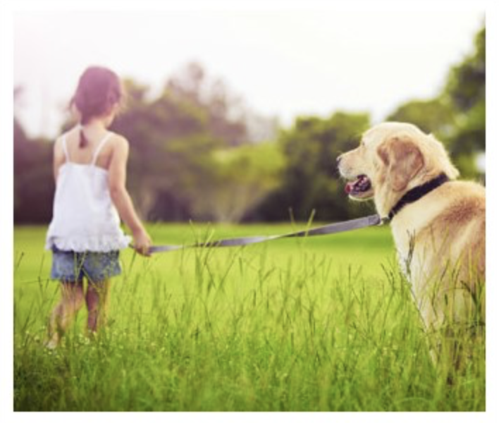 스크린샷 2019-06-22 오후 2.36.31.png