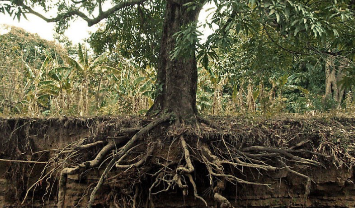 스크린샷 2020-10-22 오후 6.05.32.png