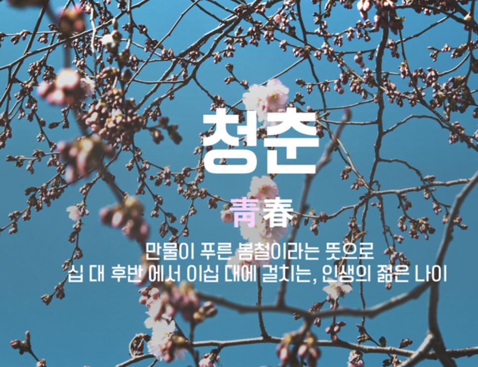 스크린샷 2020-01-19 오후 8.18.51.png