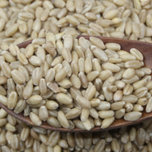 스크린샷 2025-02-01 오후 12.41.25.png