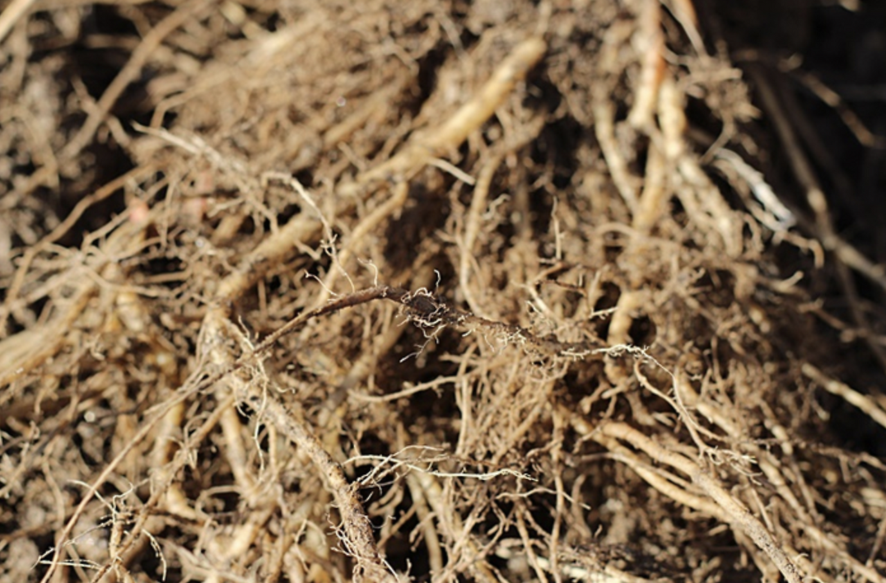 스크린샷 2019-07-02 오후 12.24.26.png