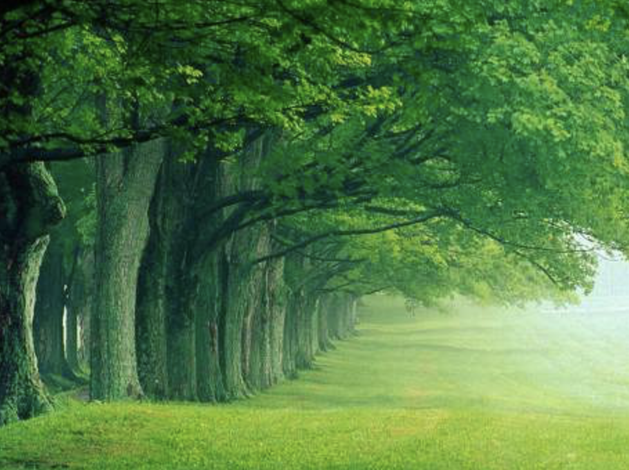 스크린샷 2019-06-26 오후 1.18.10.png