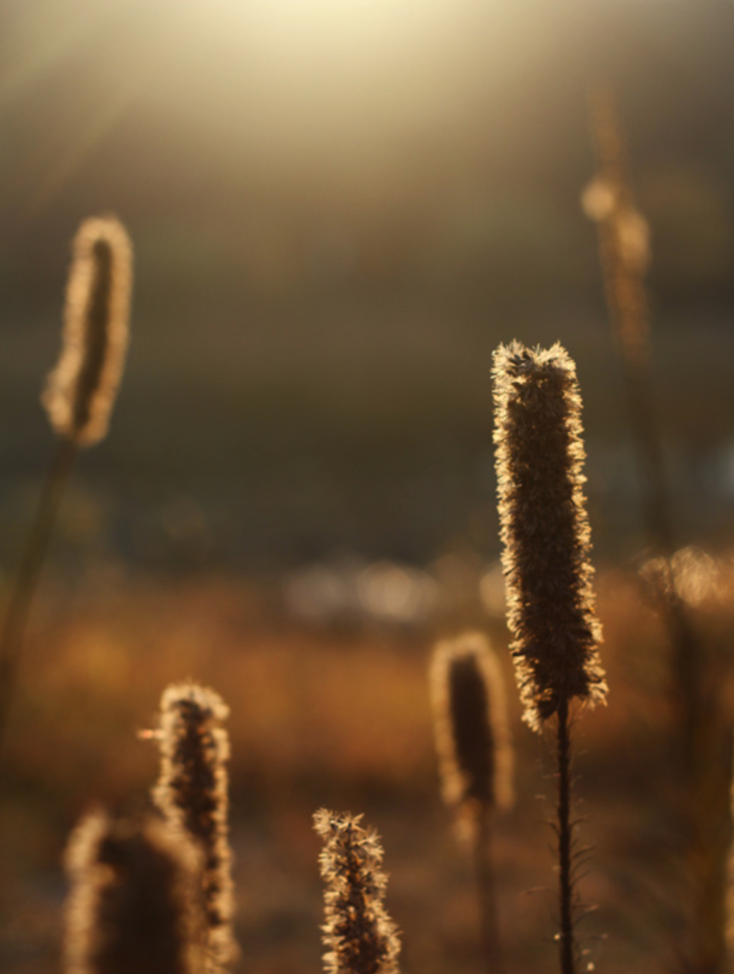 스크린샷 2019-10-17 오후 5.30.10.png