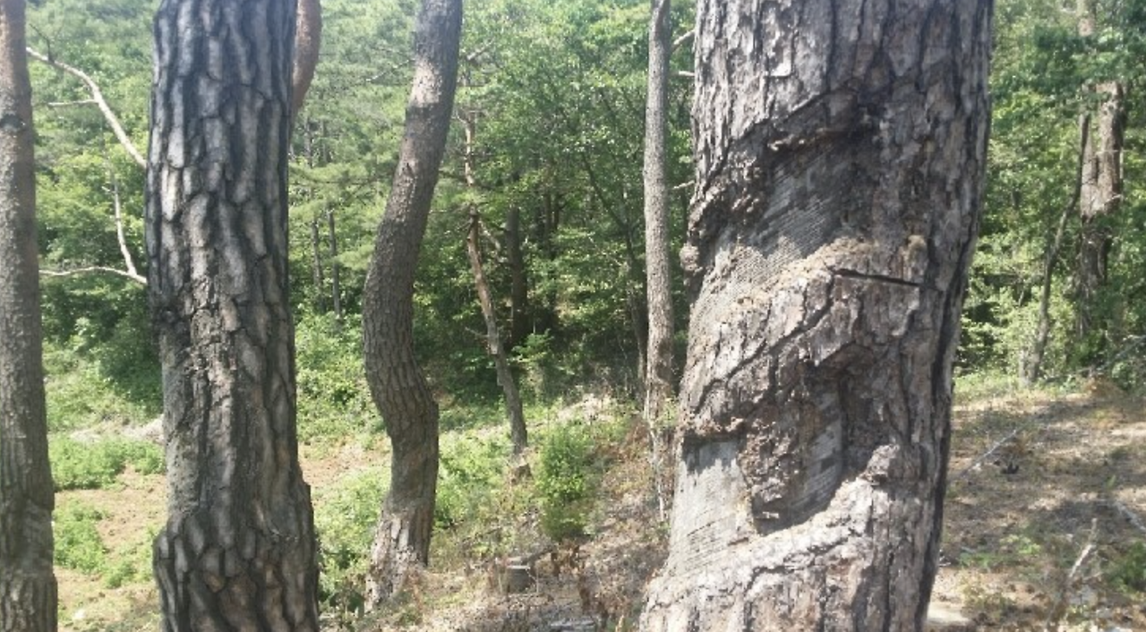 스크린샷 2020-10-29 오후 4.07.26.png