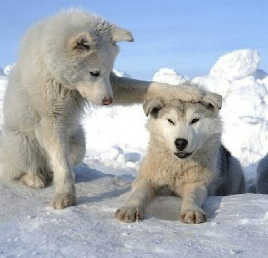 스크린샷 2020-10-22 오후 6.04.28.png