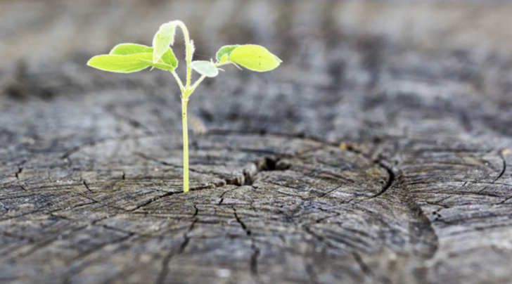 스크린샷 2020-04-08 오후 6.58.26.png