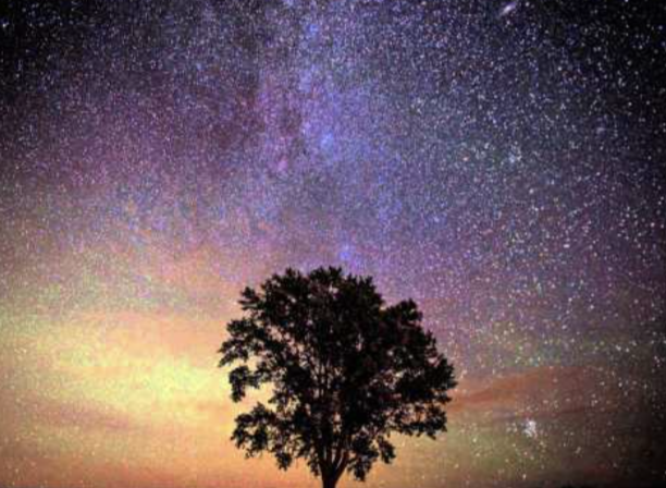 스크린샷 2020-05-03 오후 12.56.26.png