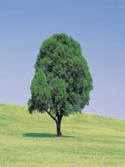 스크린샷 2025-03-19 오전 11.54.36.png