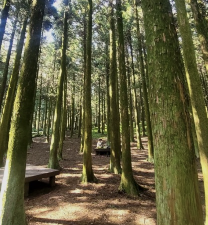 스크린샷 2022-10-21 오후 4.43.51.png