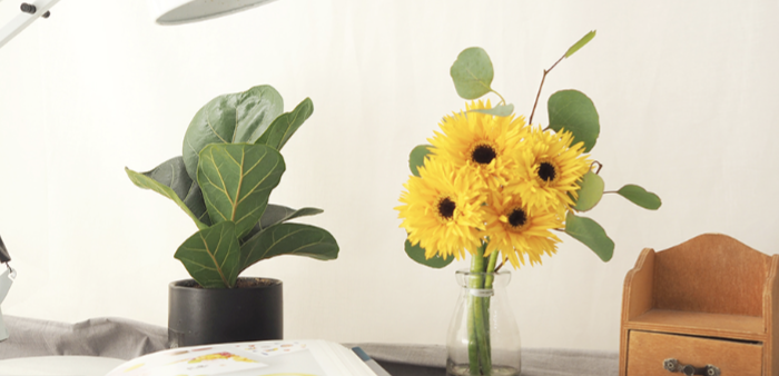 스크린샷 2020-03-29 오후 6.58.39.png