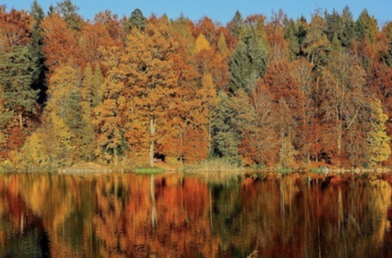 스크린샷 2022-10-23 오후 4.36.31.png