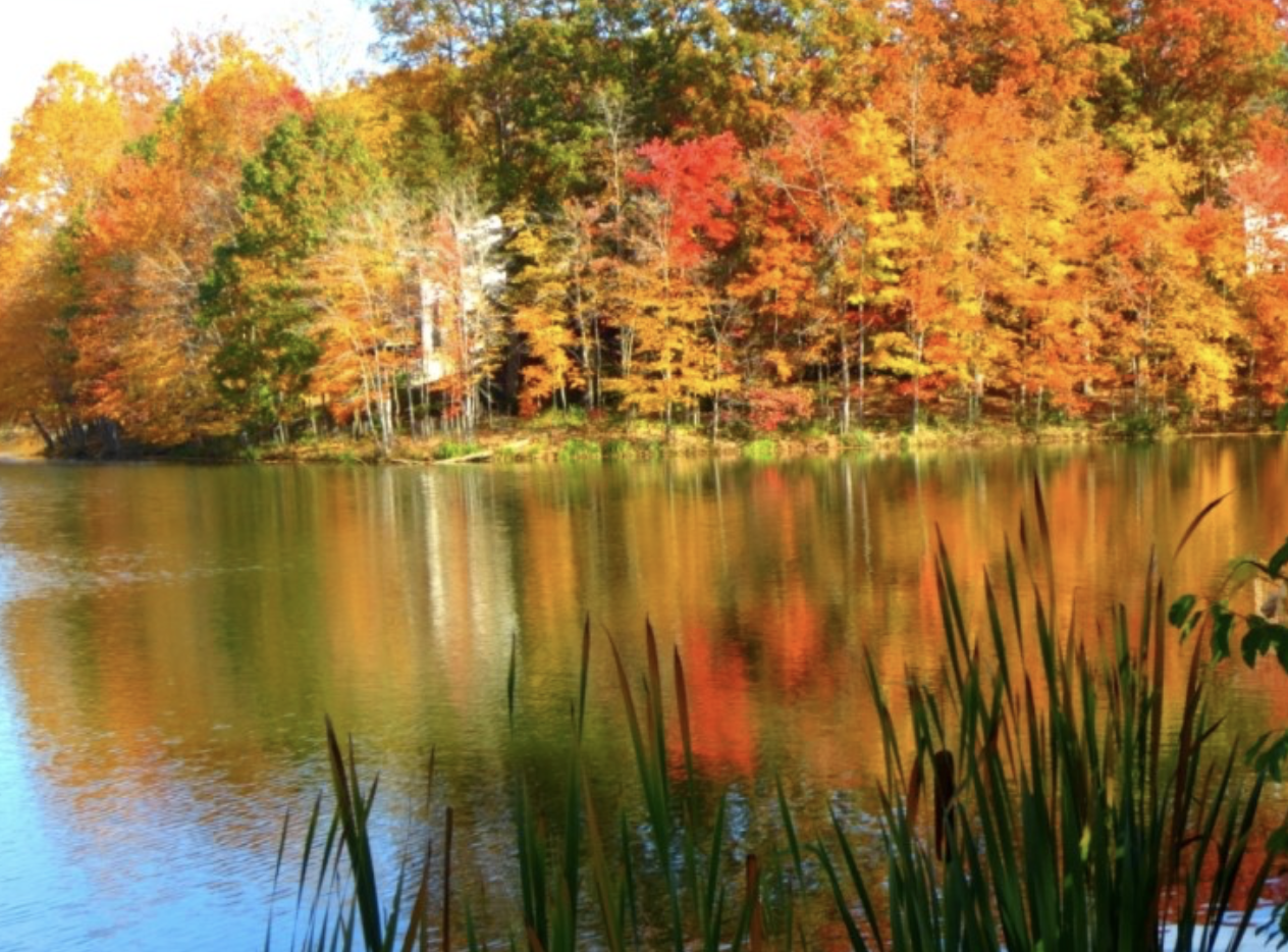 스크린샷 2018-08-13 오전 12.46.56.png