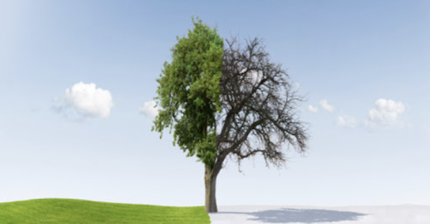 스크린샷 2020-04-03 오후 12.14.01.png