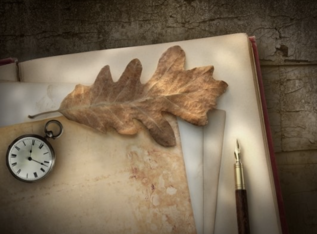 스크린샷 2019-06-22 오후 2.36.02.png