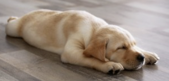 스크린샷 2025-02-04 오전 10.44.25.png