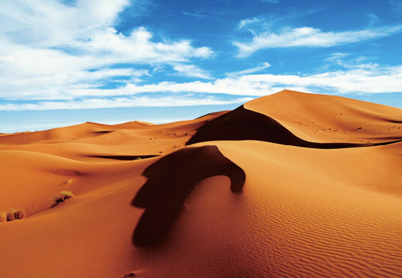 스크린샷 2019-02-12 오전 12.05.48.png